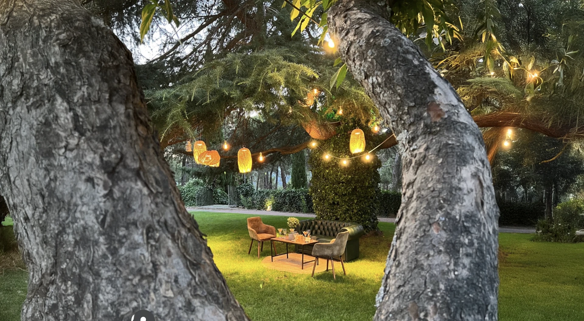 Rincón bajo el árbol