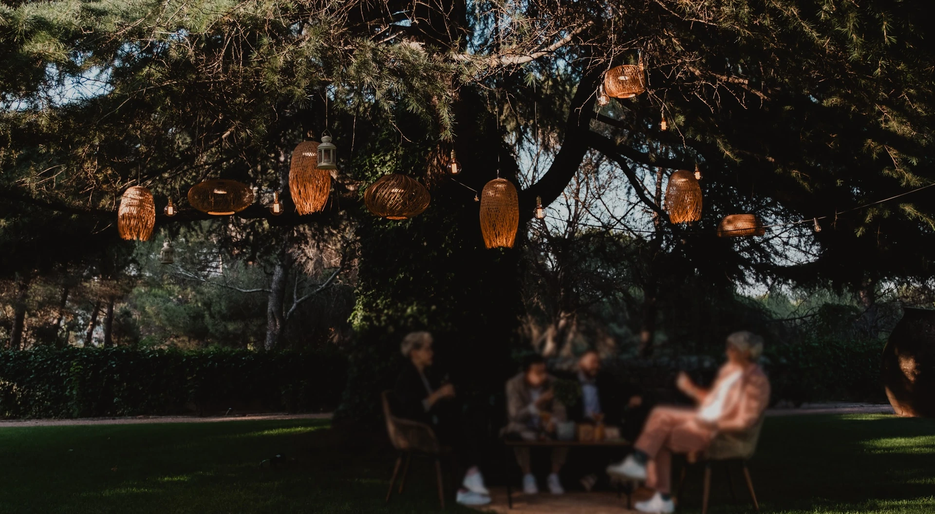 Rincón bajo el árbol